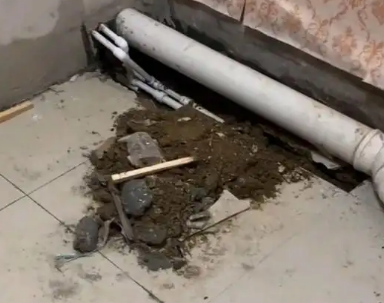 张家口市卫生间漏水检测哪家好